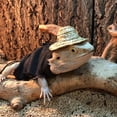 thumbnail image 3 of Reptile Hoodie Clothes Set for Bearded Dragons, Warm Fleece Lizard Sweaters, Reptile Hoodies Apparel for Skin Protection, 3 of 7