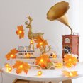 thumbnail image 3 of Bewildely Lámpara de calabaza Suministros para fiestas de seguridad de Acción de Gracias Mano de obra Tamaño compacto Bombilla de luz LED Type3 NO3, 3 of 6