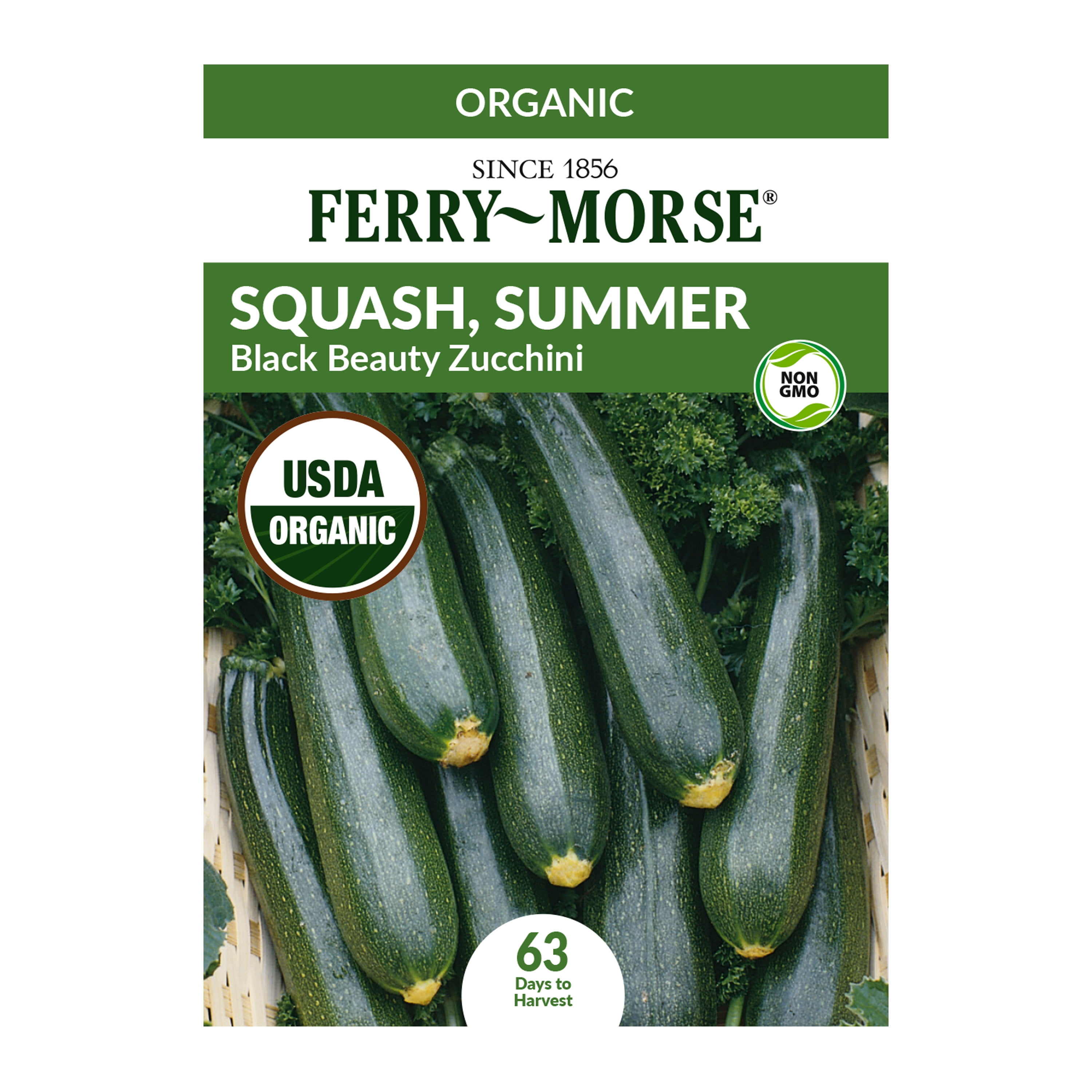 Ferry-Morse Squash, Summer Black Beauty Zucchini Plant Seeds (1 Pack) - Seed Gardening, Full Sun