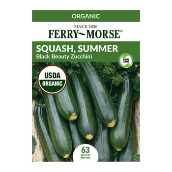 Ferry-Morse Squash, Summer Black Beauty Zucchini   (1 Pack) - Seed Gardening, Full Sun