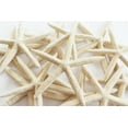thumbnail image 3 of Set of 12 White Pencil (Finger) Starfish 6-8" Beach Wedding Nautical Decor Ocean Arts & Crafts, 3 of 3