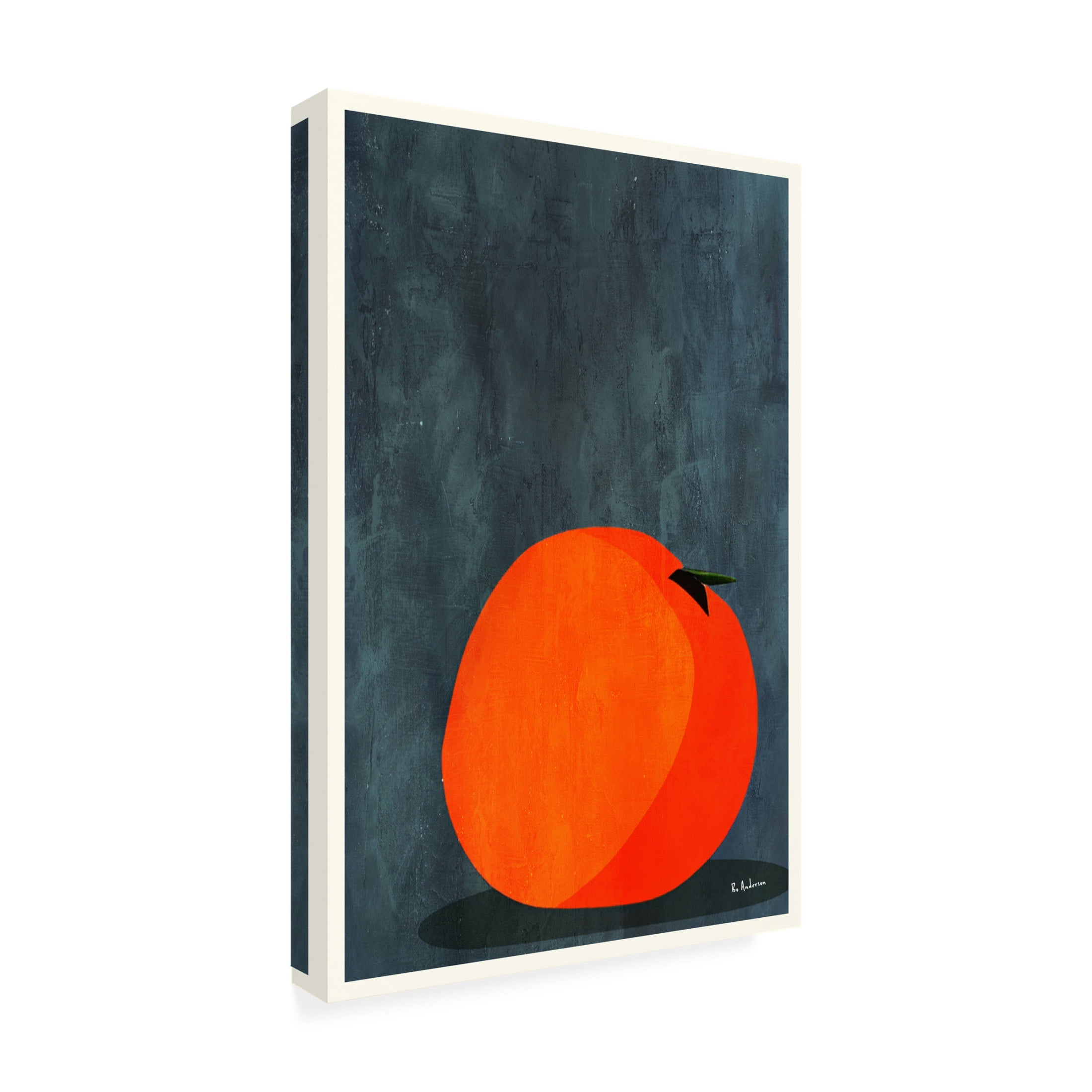 Canvas Wall Art - Bo Anderson 'Calmly Sleeping Apple' Wall Art for Living Room, Bedroom, or Office D?cor by Trademark Fine Art - 30 x 47 Inches