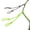 Fluorescent Green, variant on Riousery Premium Duck Call Lanyard Paracord Hunting Necklace Wildfowl Whistle Sling Black and Camouflage Green Braided Cord Game Carrier Accessory Outdoor Gear 18 inches / 45.72 cm