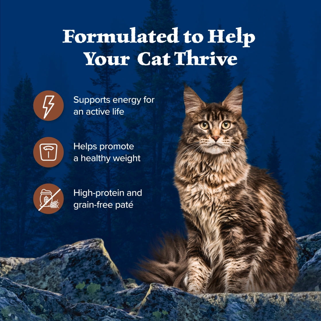 (24 pack) Blue Buffalo Wilderness High-Protein Adult Cat Wet Food, Turkey, 5.5-oz. Can