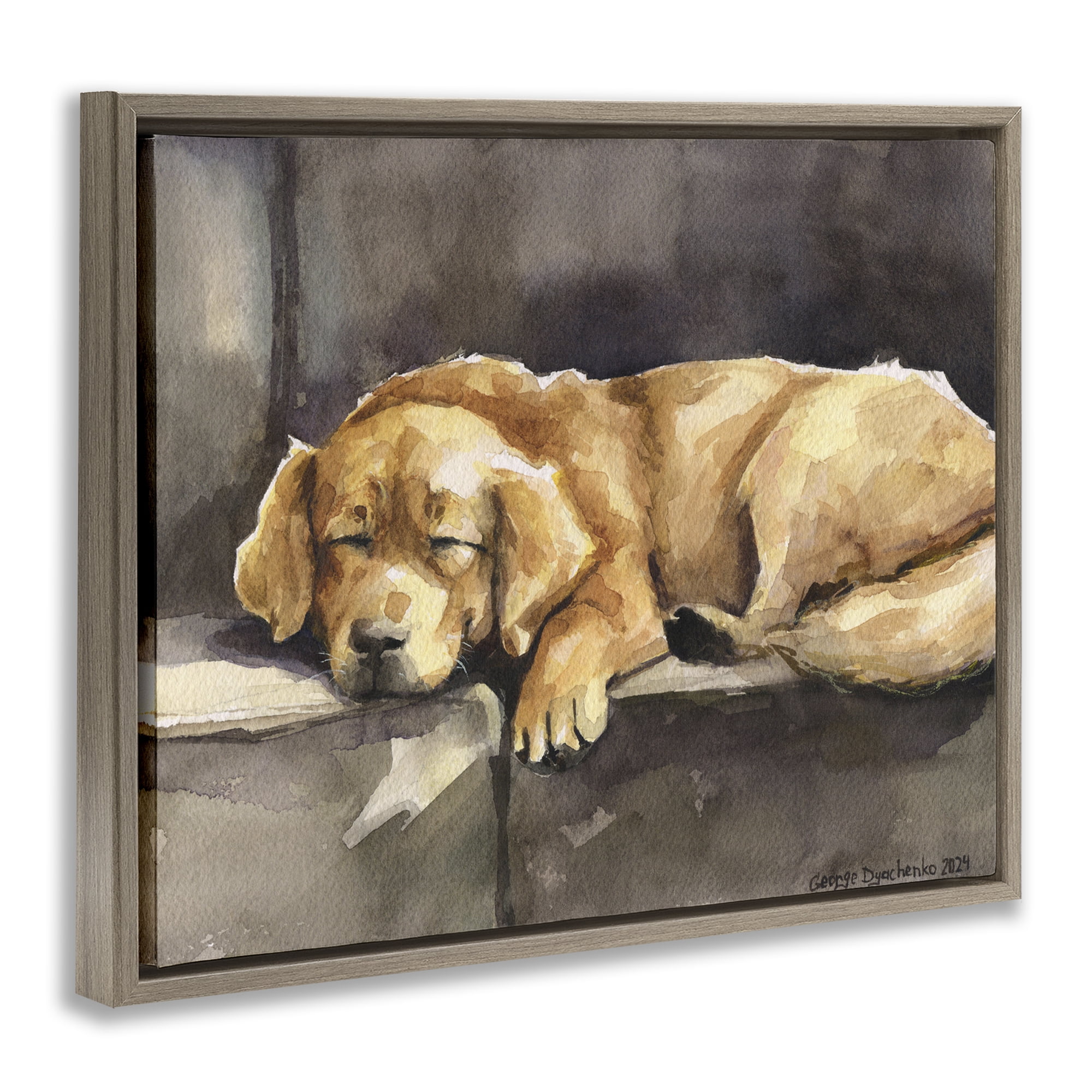 Stupell Industries Sleeping Golden Retriever Animals Painting Brown Floater Framed Canvas Art Print Wall Art, 21 x 17