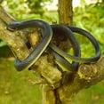 thumbnail image 3 of 2 piezas de 120 cm, juguetes de serpiente de goma realistas, kit de broma engañosa para niños, 3 of 9