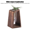 thumbnail image 3 of Terrario Para Plantas Con Tubo De Ensayo De Vidrio, Terrarios Para Plantas De Vidrio De Escritorio, Hechos A Mano, Innovadores, Transparentes, Decorativos, Multiusos Para Plantas, 3 of 7