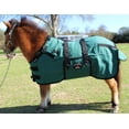 thumbnail image 2 of 42" Canvas Duck Turnout Water Resistant Foal Winter Blanket  51701, 2 of 3