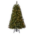 thumbnail image 2 of Celebrations Home 4-1/2 ft. Clear Prelit Smithtown Artificial Tree 140 lights, 2 of 2