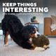 thumbnail image 4 of Juguete de peluche para perros Outward Hound Hedgehogz XL, 4 of 6