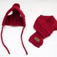 thumbnail image 4 of Bufanda Gorro de lana Gorro de invierno de peluche Bufanda Gorro para mascota Conjunto para mantenerse abrigado, 4 of 5