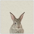 thumbnail image 3 of MARMONT HILL  - Handmade Bunny Surprise Floater Framed Print on Canvas 48 x 48, 3 of 5