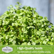 Arugula Microgreens Sprouting Seeds - Partial Sun Annual Vegetable - 5 Packs