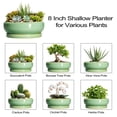 thumbnail image 5 of 8 inch Succulent Planter for Patio, Shallow Ceramic Pot with Drainage, Farmhouse Style Decor for Plants, Light Green, 5 of 8