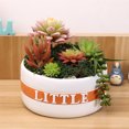 thumbnail image 4 of Planta de flores de resina Sunnimix Resina, 4 of 8