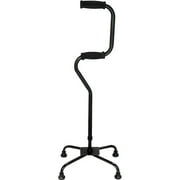 Briggs Healthcare Sit-to-Stand Quad Cane