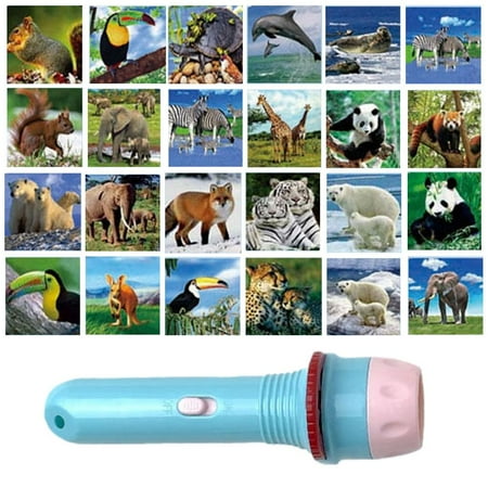 

Famure Kids Flashlight Projector Dino Torch Projector Kids Flashlights Lighting Story Torches Toddler Flashlight Slide Lamp Early Educational Learning For Kids appealing