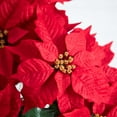 thumbnail image 3 of Nearly Natural 19in. Artificial Lush Poinsettia Arrangement in Red Wrapped Planter, 3 of 6