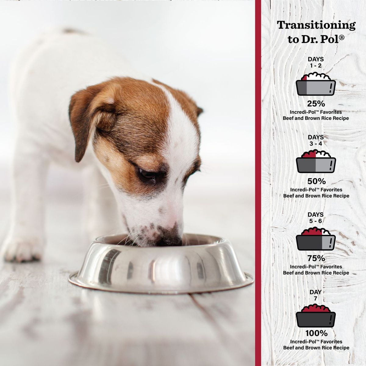 (3 pack) Dr. Pol Incredi-Pol Favorites Beef and Brown Rice Recipe Dog Food, 24lb