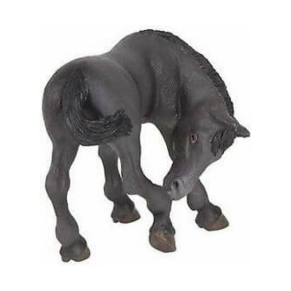 Black Lusitanian Foal