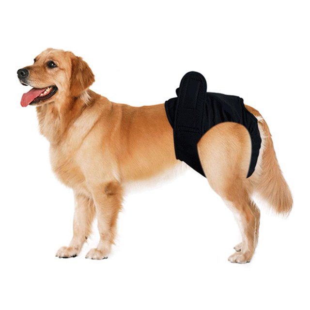 Pantalones fisiológicos para mascotas, pantalones cortos sanitarios para la menstruación de perros femeninos (negro XS) Likrtyny Para estrenar