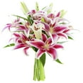 thumbnail image 4 of Kabloom 10 Stargazer Lilies with Greens in Vase, 4 of 5