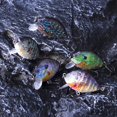 thumbnail image 3 of Lemohome 5pcs Fishing Lure Lot Shallow Diving Rattling Crankbait Hook Bass Bait Tackle, 3 of 6