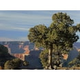 thumbnail image 2 of Fitzharris, Tim 32x25 White Modern Wood Framed Museum Art Print Titled - Hermits Rest-South Rim of Grand Canyon National Park-Arizona, 2 of 4