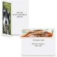 thumbnail image 7 of Current Furry Pets Get Well Greeting Cards - Set of 8, Large 5" x 7", 7 of 7