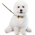 thumbnail image 5 of Juego de collar y correa para perro con pajarita. Bandana ajustable para perros, patrón clásico a cuadros, 5 of 5