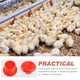 thumbnail image 3 of Comedero colgante para pájaros, cubo para pollitos, bebedero, kit de comida, contenedores de plástico para codornices, 2 piezas, 3 of 6
