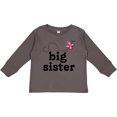 thumbnail image 3 of Inktastic Big Sister Butterfly Announcement Girls Long Sleeve Toddler T-Shirt, 3 of 5
