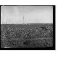 thumbnail image 2 of Historic Framed Print, Cotton fields at Dahomey, Mississippi, 17-7/8" x 21-7/8", 2 of 9