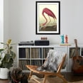 thumbnail image 3 of Art.com American Flamingo Art Print by John James Audubon, Black Frame Wall Art, 32" x 44", 3 of 4