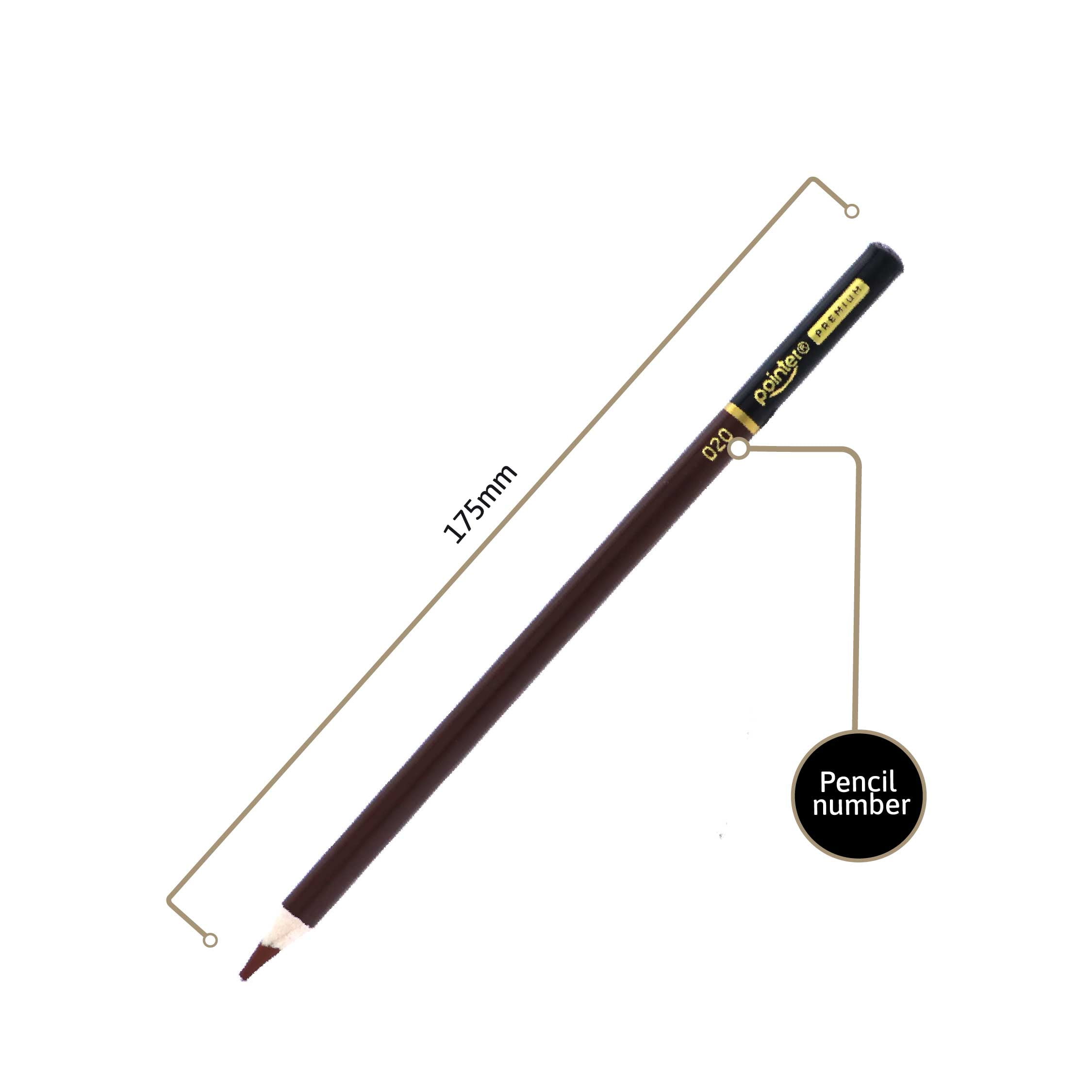Pointer PREMIUM Colored Pencils 36 Count