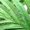 Green, variant on 30" Artificial Palm Plants Leaves Tropical Greenery Bush Imitation Faux Fake Palm Tree Leaf for Home Kitchen Party Flowers Arrangement Wedding Decorations