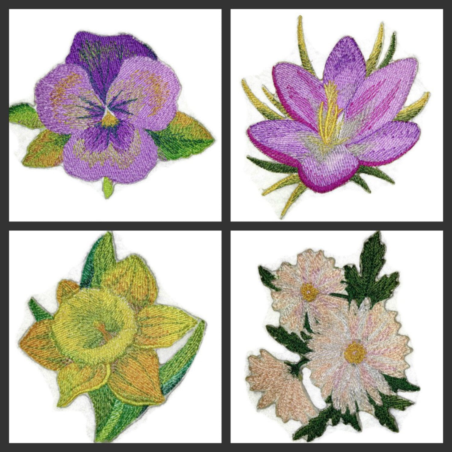 Custom and Unique Garden's Best Delight Flower [Daisy] Embroidered Iron on/Sew Patch [3.5" 4"]