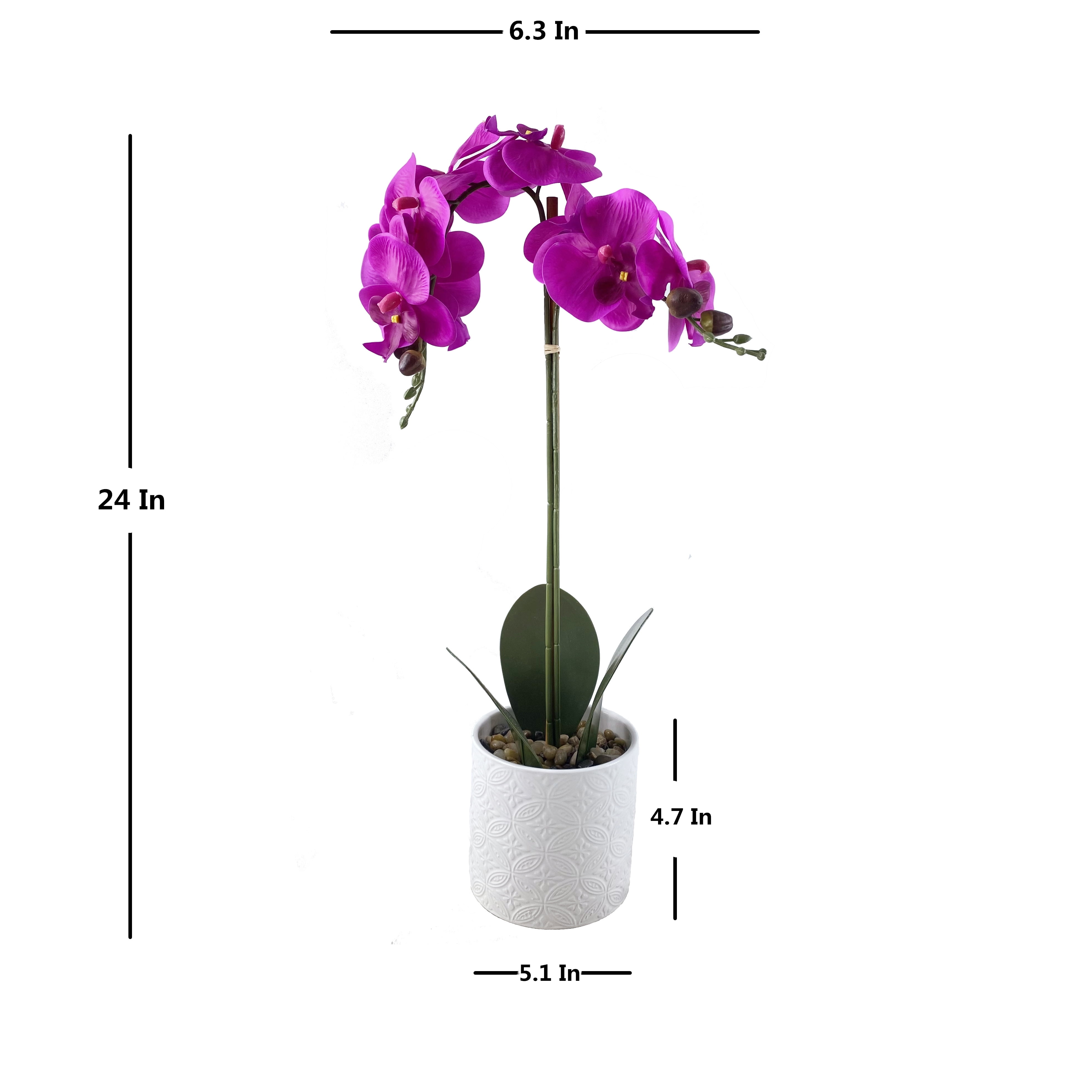 Are Orchids Bad For Dogs