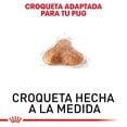 thumbnail image 4 of Alimento Croqueta Royal Canin Pug Adulto 1.1Kg, 4 of 4