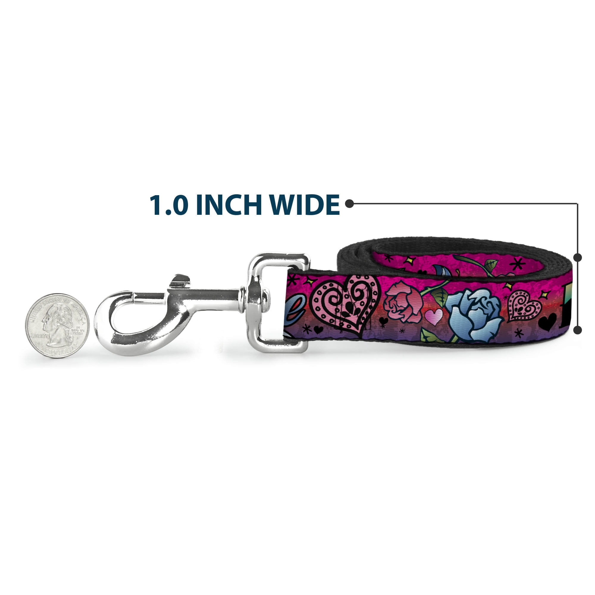 Buckle-Down Pet Leash, Dog Leash, Love Love Pink, 6 Feet Long 1.0 Inch Wide