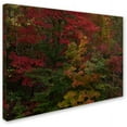 thumbnail image 2 of Trademark Fine Art "Why I Love Autumn" Canvas Art by Kurt Shaffer, 2 of 3