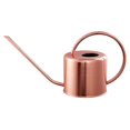 thumbnail image 1 of Hervidor de agua YONGSHENG con pico largo acero inoxidable capacidad 1,2 l, 1 of 5