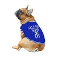 thumbnail image 5 of Let's Get Lit Hanukkah Matching Family Pajamas, Hanukkah Family PJs With Dog, Size NB - Men 6XL, 5 of 7