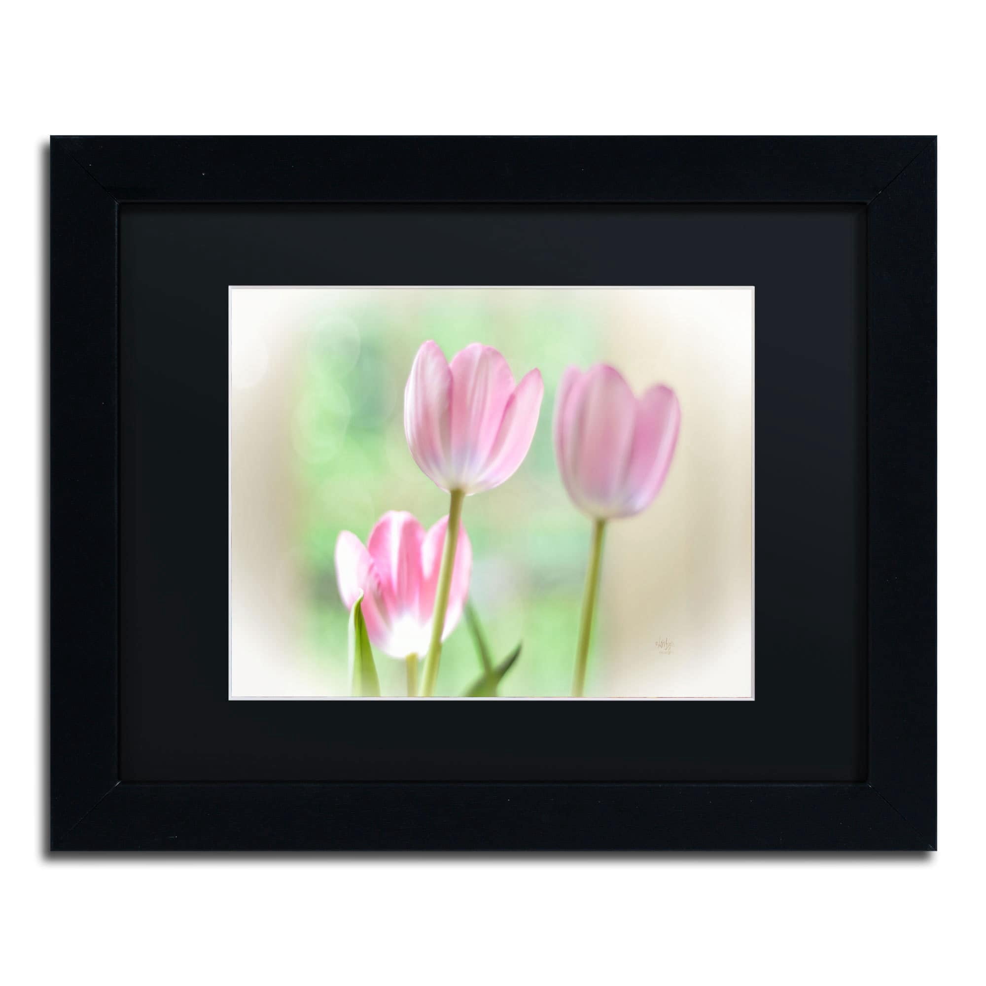 Trademark Fine Art "Three Pink Tulips" Canvas Art by Lois Bryan, Black Matte, Black Frame