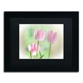thumbnail image 2 of Trademark Fine Art "Three Pink Tulips" Canvas Art by Lois Bryan, Black Matte, Black Frame, 2 of 5