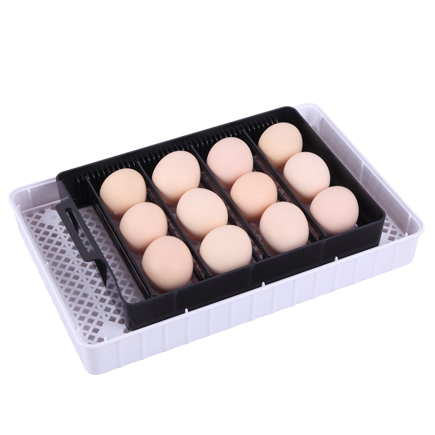 Canddidliike Egg Incubator, 12 Eggs Fully Automatic Digital Poultry Hatcher Machine Breeder with LED Candler Canddidliike Egg Incubator, 12 Eggs Fully Automatic Digital Poultry Hatcher Machine Breeder with LED Candler