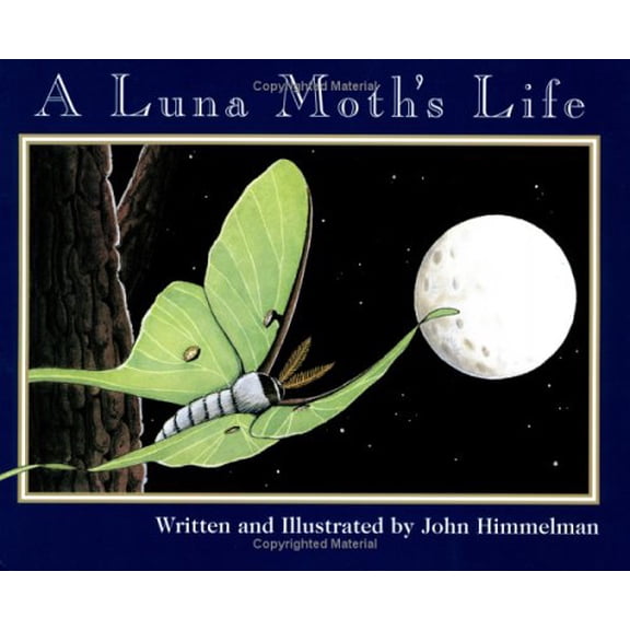 Pre-Owned A Luna Moth's Life (Nature Upclose) (Paperback) 0516263544 9780516263540
