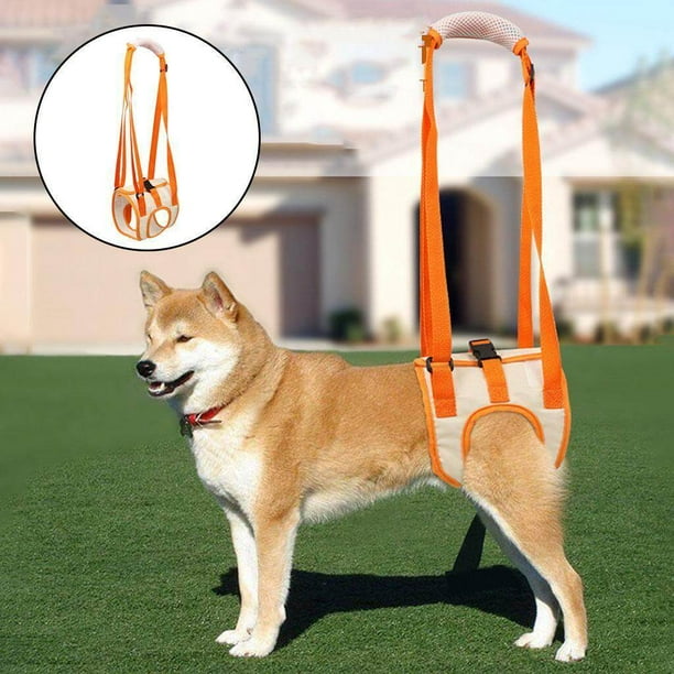 Dog Lifting Harness Rear Legs Lift Sling Dogs Back Sling Front Back Leg Support Harness Strap L Walmart