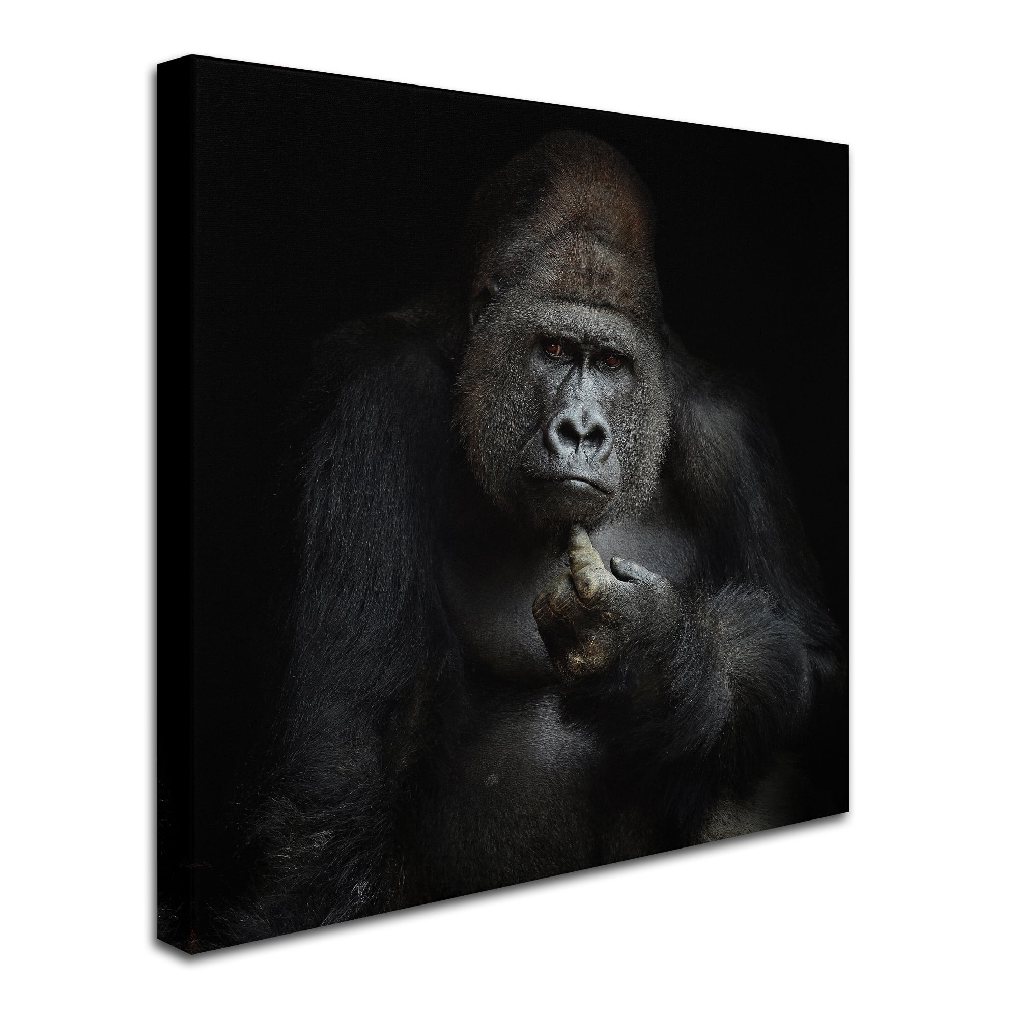 Trademark Fine Art 'Imho' Canvas Art by Antje Wenner-Braun