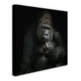 thumbnail image 2 of Trademark Fine Art 'Imho' Canvas Art by Antje Wenner-Braun, 2 of 3